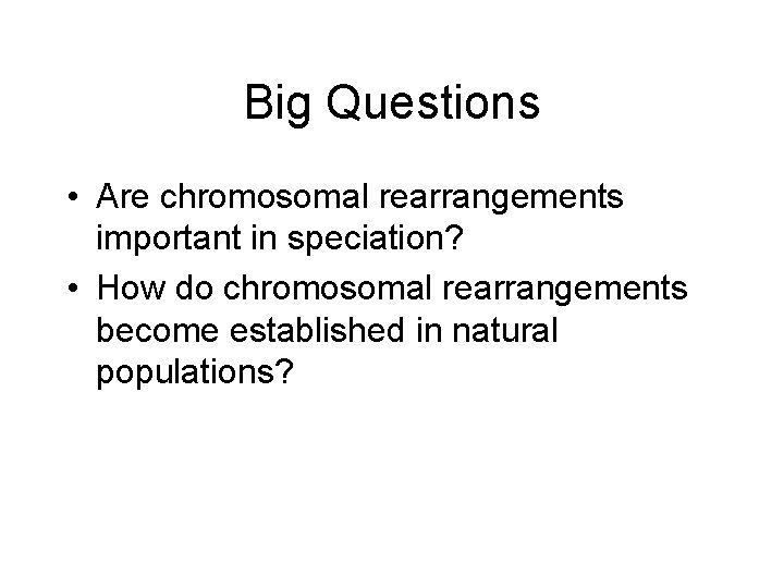 Big Questions • Are chromosomal rearrangements important in speciation? • How do chromosomal rearrangements