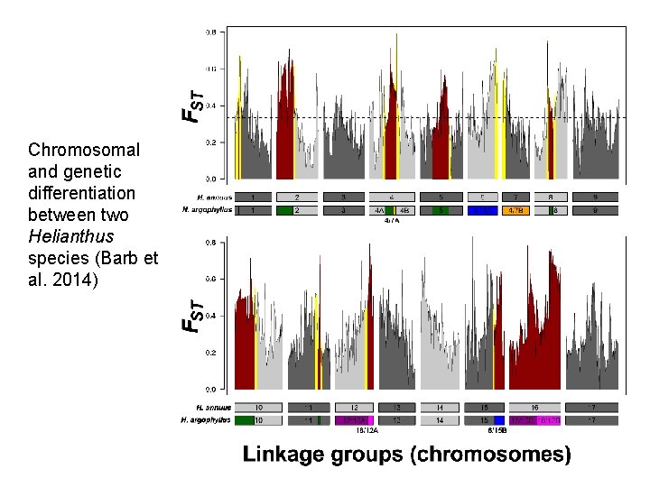 Chromosomal and genetic differentiation between two Helianthus species (Barb et al. 2014) 