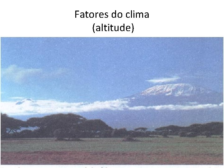 Fatores do clima (altitude) 