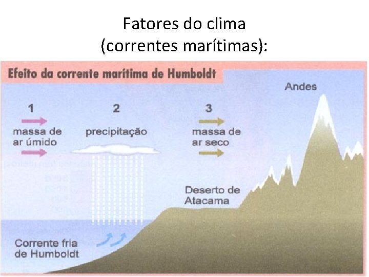 Fatores do clima (correntes marítimas): 