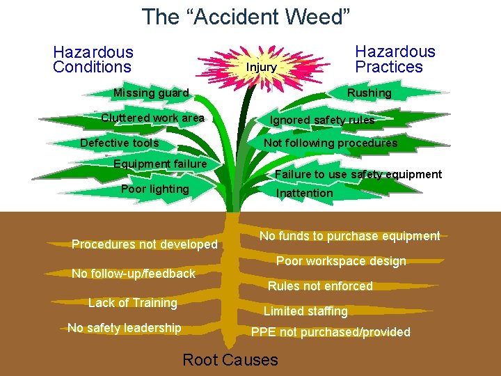 The “Accident Weed” Hazardous Conditions Injury Missing guard Cluttered work area Defective tools Poor