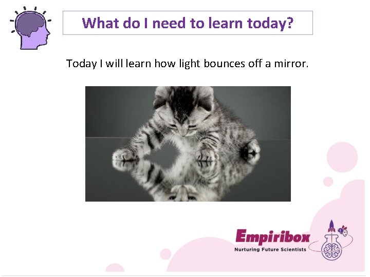 What do I need to learn today? Today I will learn how light bounces