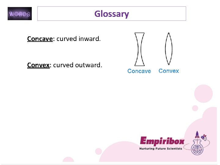 Glossary Concave: curved inward. Convex: curved outward. 