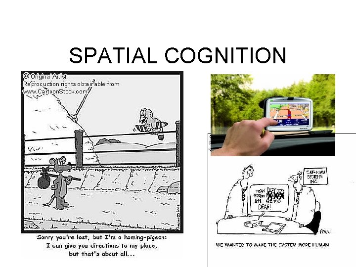 SPATIAL COGNITION XXX 