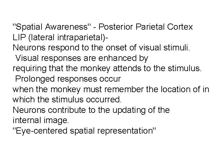 "Spatial Awareness" - Posterior Parietal Cortex LIP (lateral intraparietal)- Neurons respond to the onset