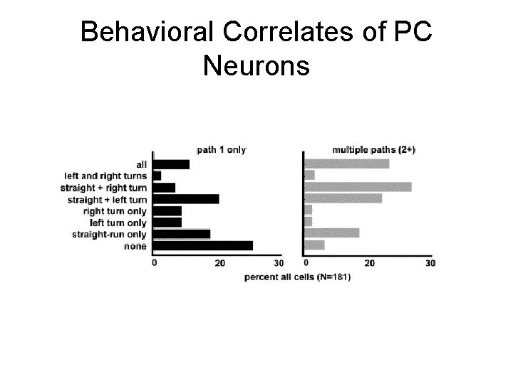 Behavioral Correlates of PC Neurons 