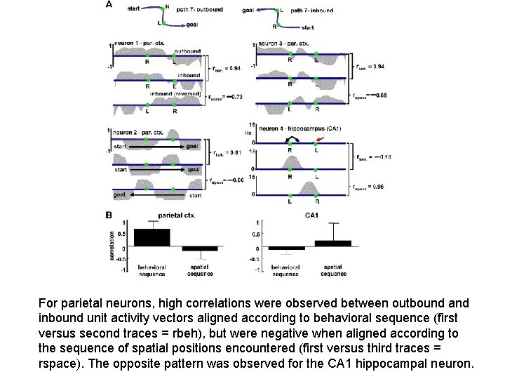 For parietal neurons, high correlations were observed between outbound and inbound unit activity vectors