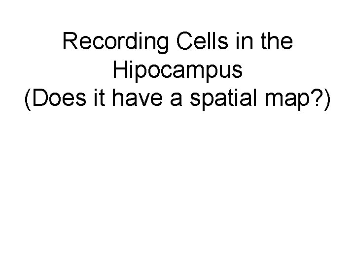 Recording Cells in the Hipocampus (Does it have a spatial map? ) 