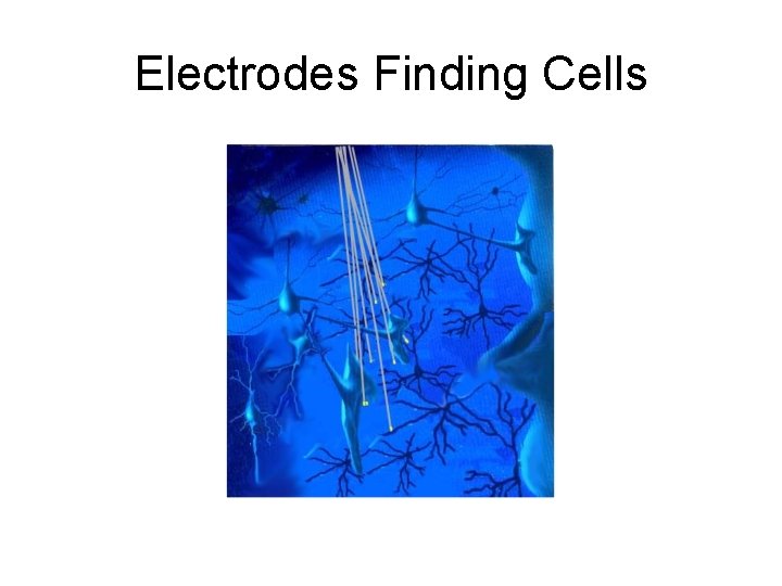 Electrodes Finding Cells 