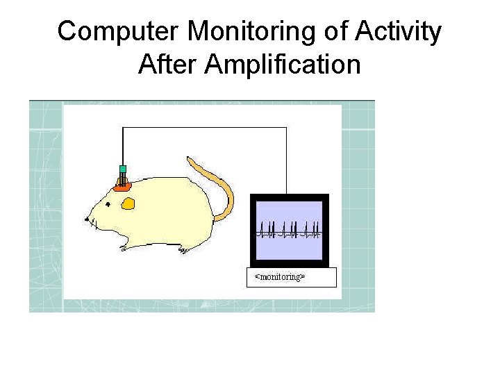 Computer Monitoring of Activity After Amplification 