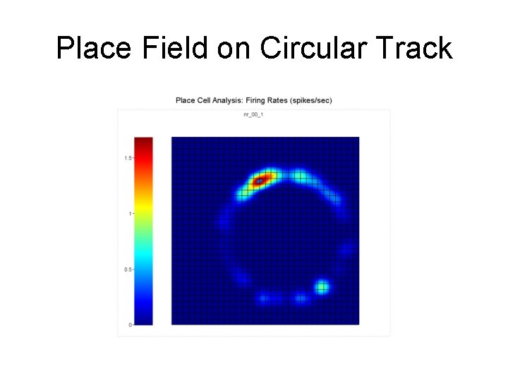 Place Field on Circular Track 