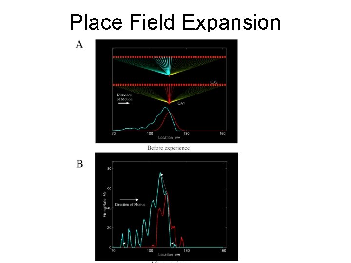 Place Field Expansion 