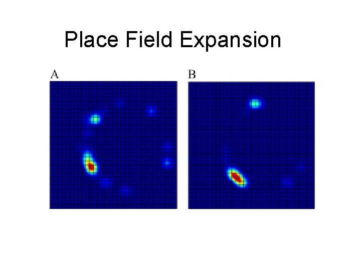 Place Field Expansion 