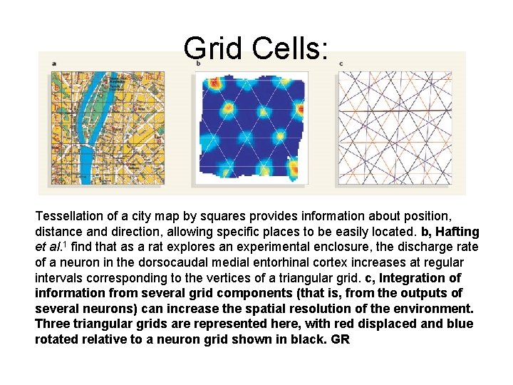 Grid Cells: Tessellation of a city map by squares provides information about position, distance