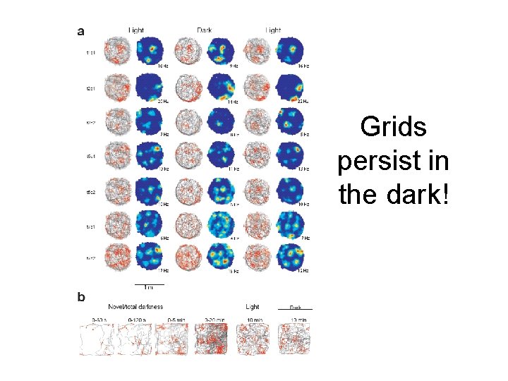 Grids persist in the dark! 