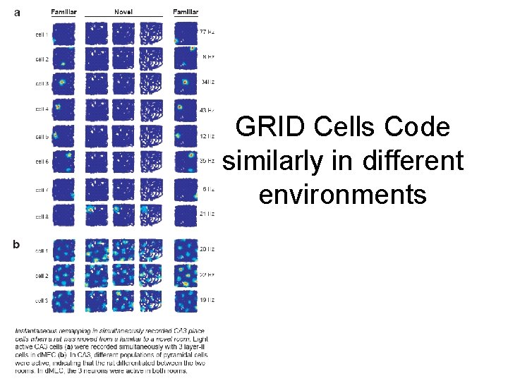 GRID Cells Code similarly in different environments 