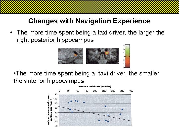 Changes with Navigation Experience • The more time spent being a taxi driver, the