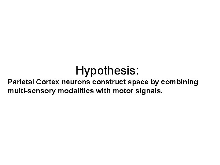 Hypothesis: Parietal Cortex neurons construct space by combining multi-sensory modalities with motor signals. 