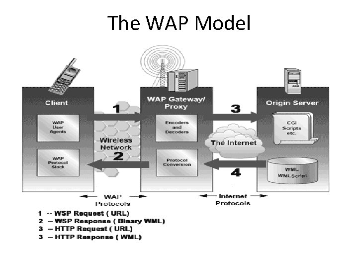 The WAP Model 