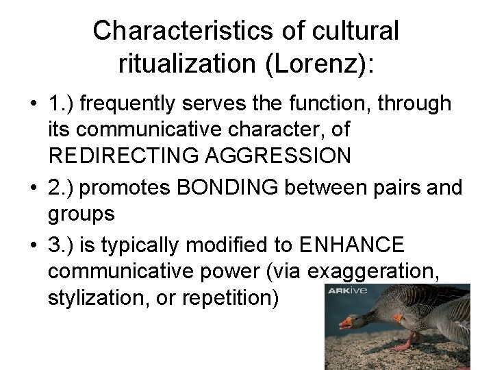 Characteristics of cultural ritualization (Lorenz): • 1. ) frequently serves the function, through its