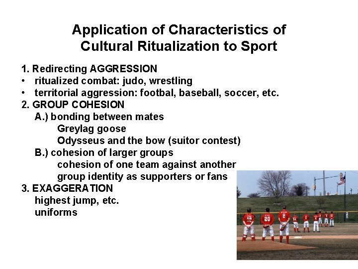 Application of Characteristics of Cultural Ritualization to Sport 1. Redirecting AGGRESSION • ritualized combat: