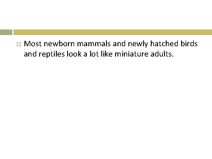  Most newborn mammals and newly hatched birds and reptiles look a lot like