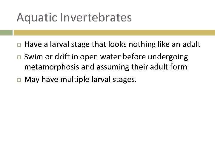 Aquatic Invertebrates Have a larval stage that looks nothing like an adult Swim or