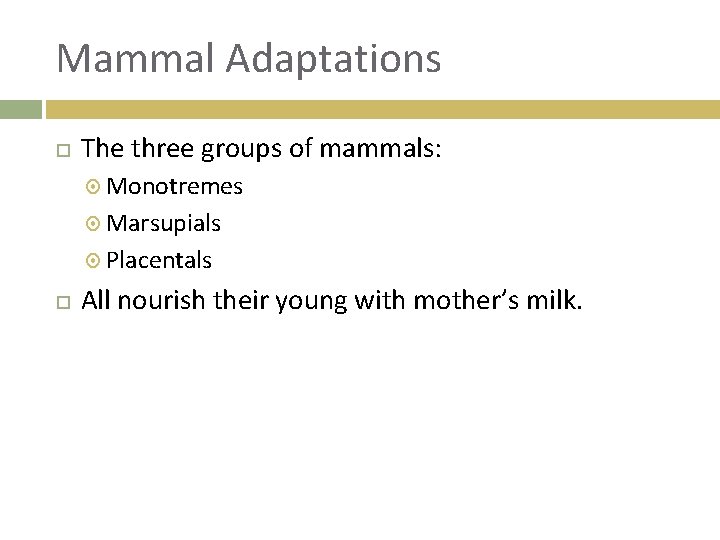 Mammal Adaptations The three groups of mammals: Monotremes Marsupials Placentals All nourish their young