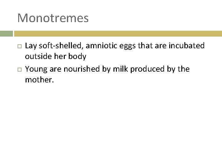 Monotremes Lay soft-shelled, amniotic eggs that are incubated outside her body Young are nourished