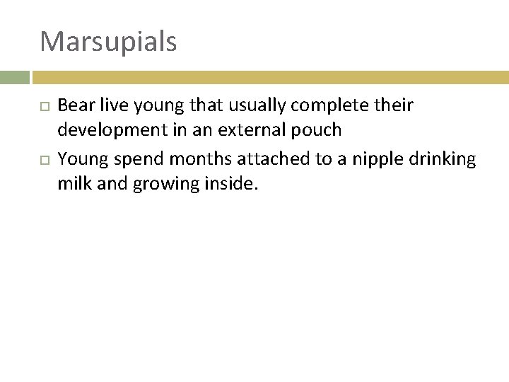 Marsupials Bear live young that usually complete their development in an external pouch Young