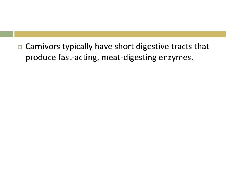  Carnivors typically have short digestive tracts that produce fast-acting, meat-digesting enzymes. 