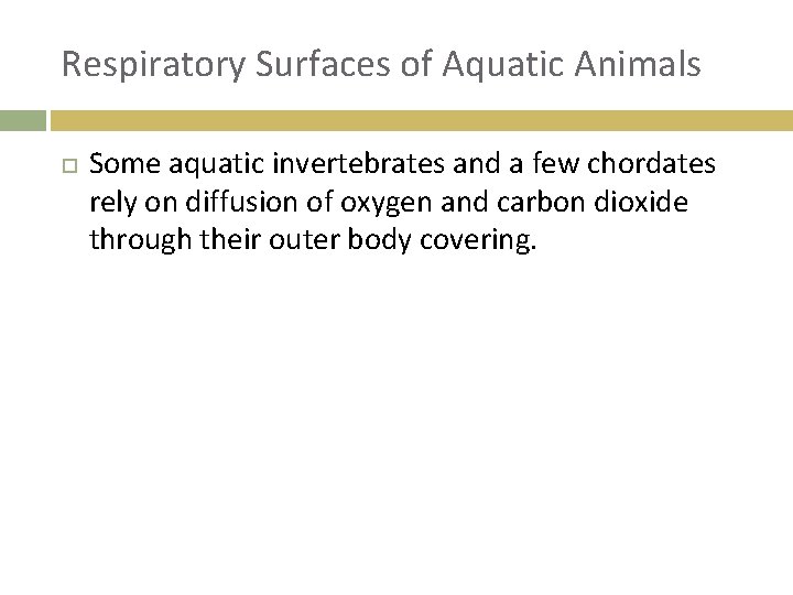 Respiratory Surfaces of Aquatic Animals Some aquatic invertebrates and a few chordates rely on