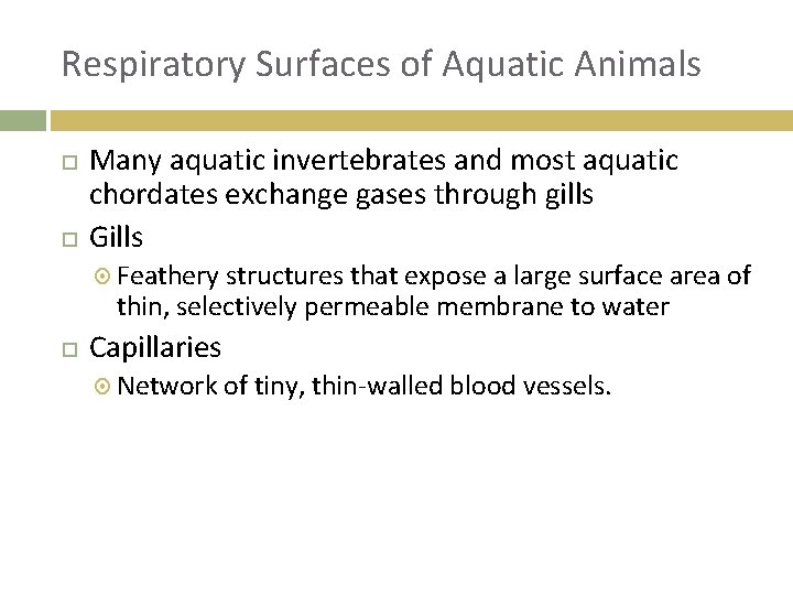 Respiratory Surfaces of Aquatic Animals Many aquatic invertebrates and most aquatic chordates exchange gases