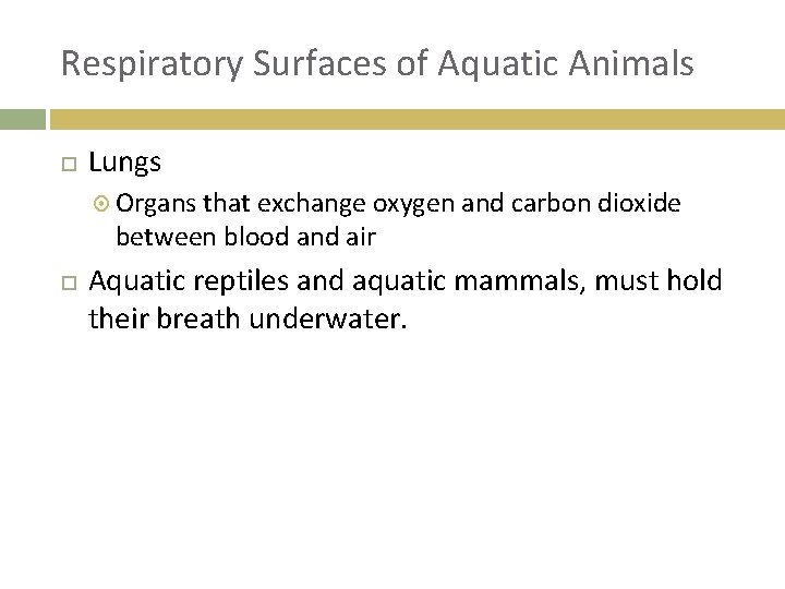 Respiratory Surfaces of Aquatic Animals Lungs Organs that exchange oxygen and carbon dioxide between