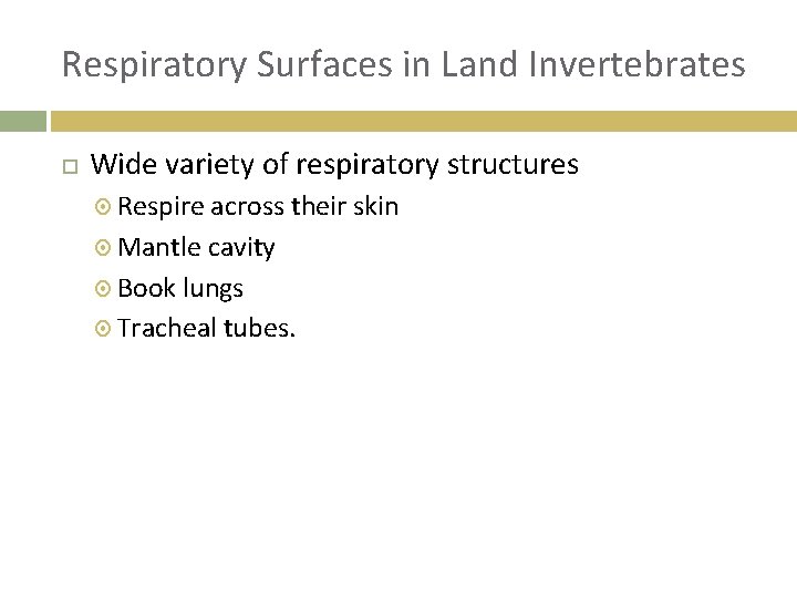 Respiratory Surfaces in Land Invertebrates Wide variety of respiratory structures Respire across their skin