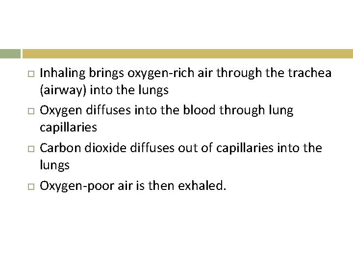  Inhaling brings oxygen-rich air through the trachea (airway) into the lungs Oxygen diffuses