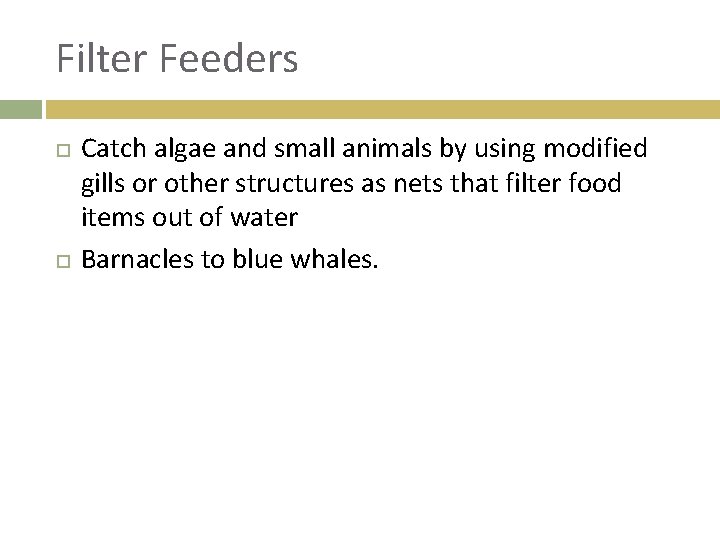 Filter Feeders Catch algae and small animals by using modified gills or other structures