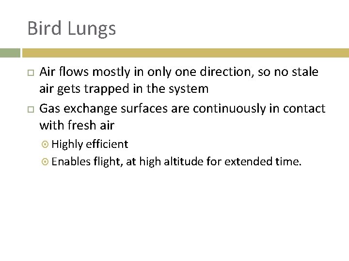 Bird Lungs Air flows mostly in only one direction, so no stale air gets