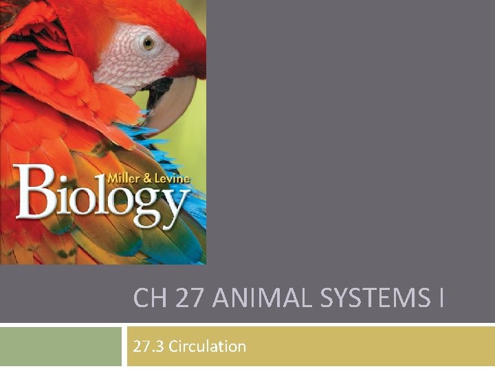 CH 27 ANIMAL SYSTEMS I 27. 3 Circulation 