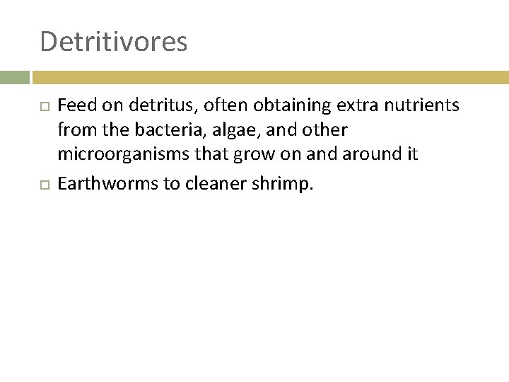 Detritivores Feed on detritus, often obtaining extra nutrients from the bacteria, algae, and other