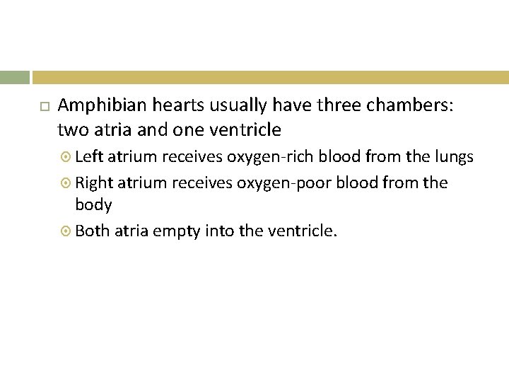  Amphibian hearts usually have three chambers: two atria and one ventricle Left atrium