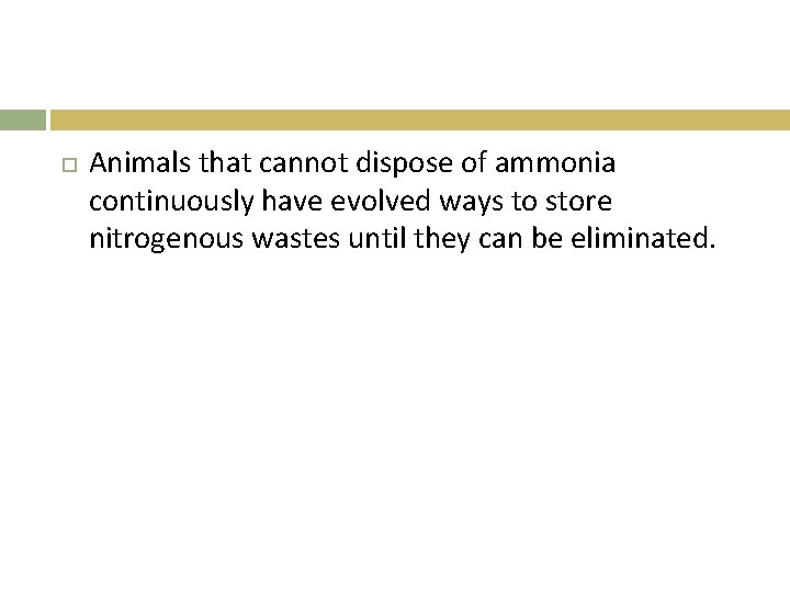  Animals that cannot dispose of ammonia continuously have evolved ways to store nitrogenous
