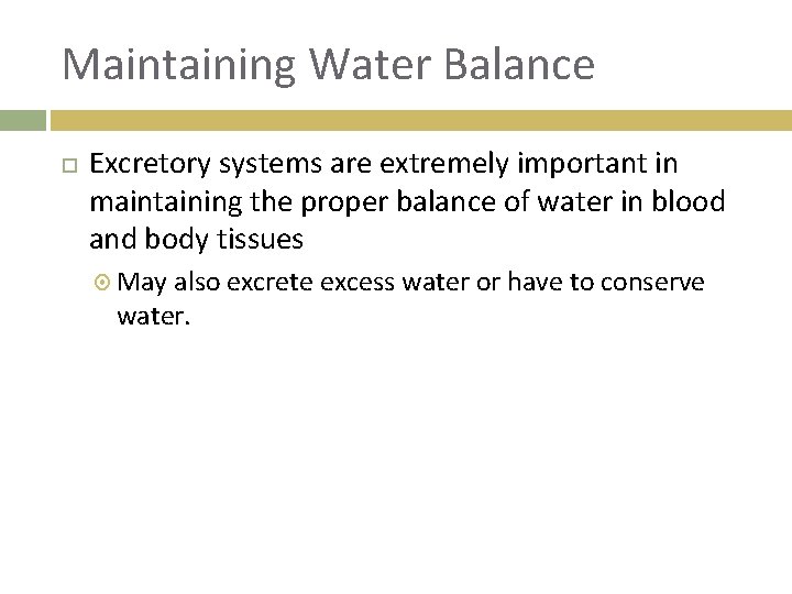 Maintaining Water Balance Excretory systems are extremely important in maintaining the proper balance of