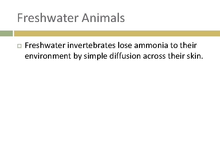 Freshwater Animals Freshwater invertebrates lose ammonia to their environment by simple diffusion across their