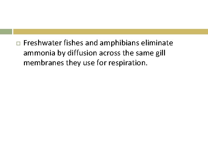  Freshwater fishes and amphibians eliminate ammonia by diffusion across the same gill membranes