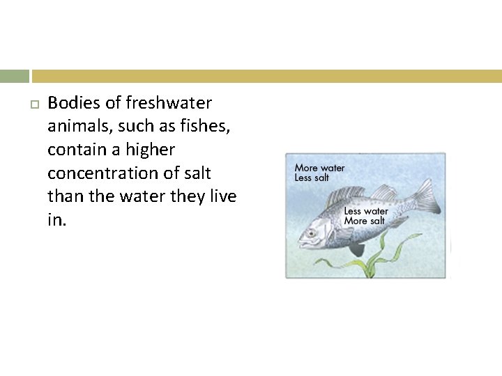  Bodies of freshwater animals, such as fishes, contain a higher concentration of salt