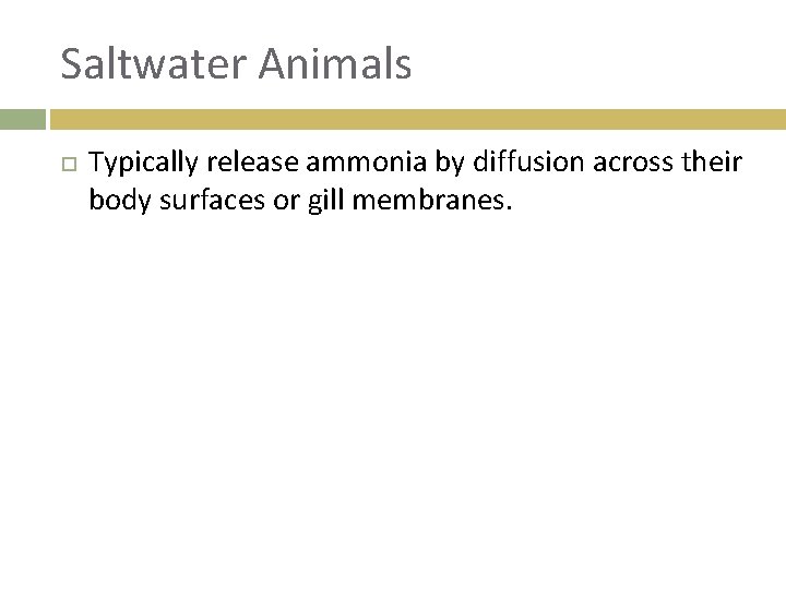 Saltwater Animals Typically release ammonia by diffusion across their body surfaces or gill membranes.