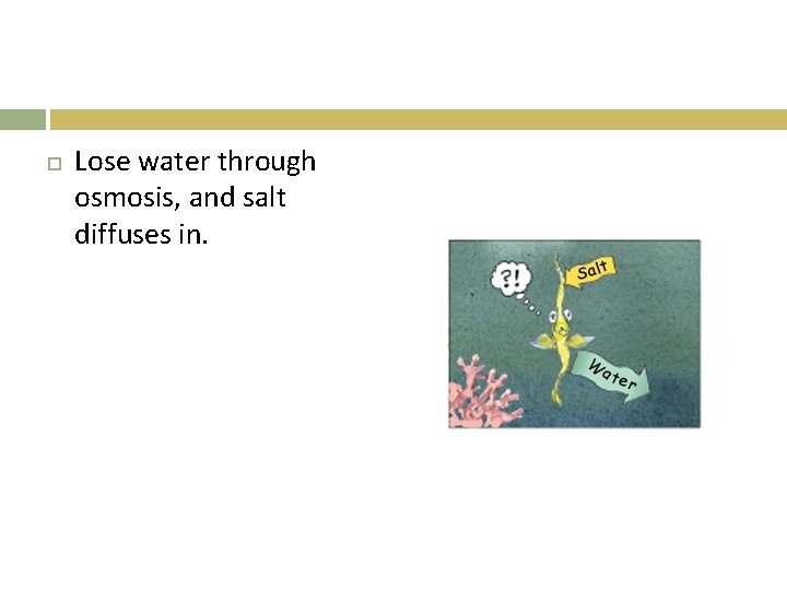  Lose water through osmosis, and salt diffuses in. 