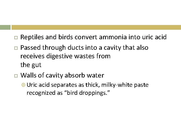  Reptiles and birds convert ammonia into uric acid Passed through ducts into a