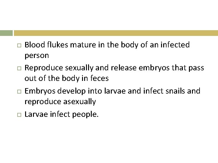  Blood flukes mature in the body of an infected person Reproduce sexually and